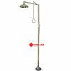 Vòi tắm khẩn cấp chân đứng UK308